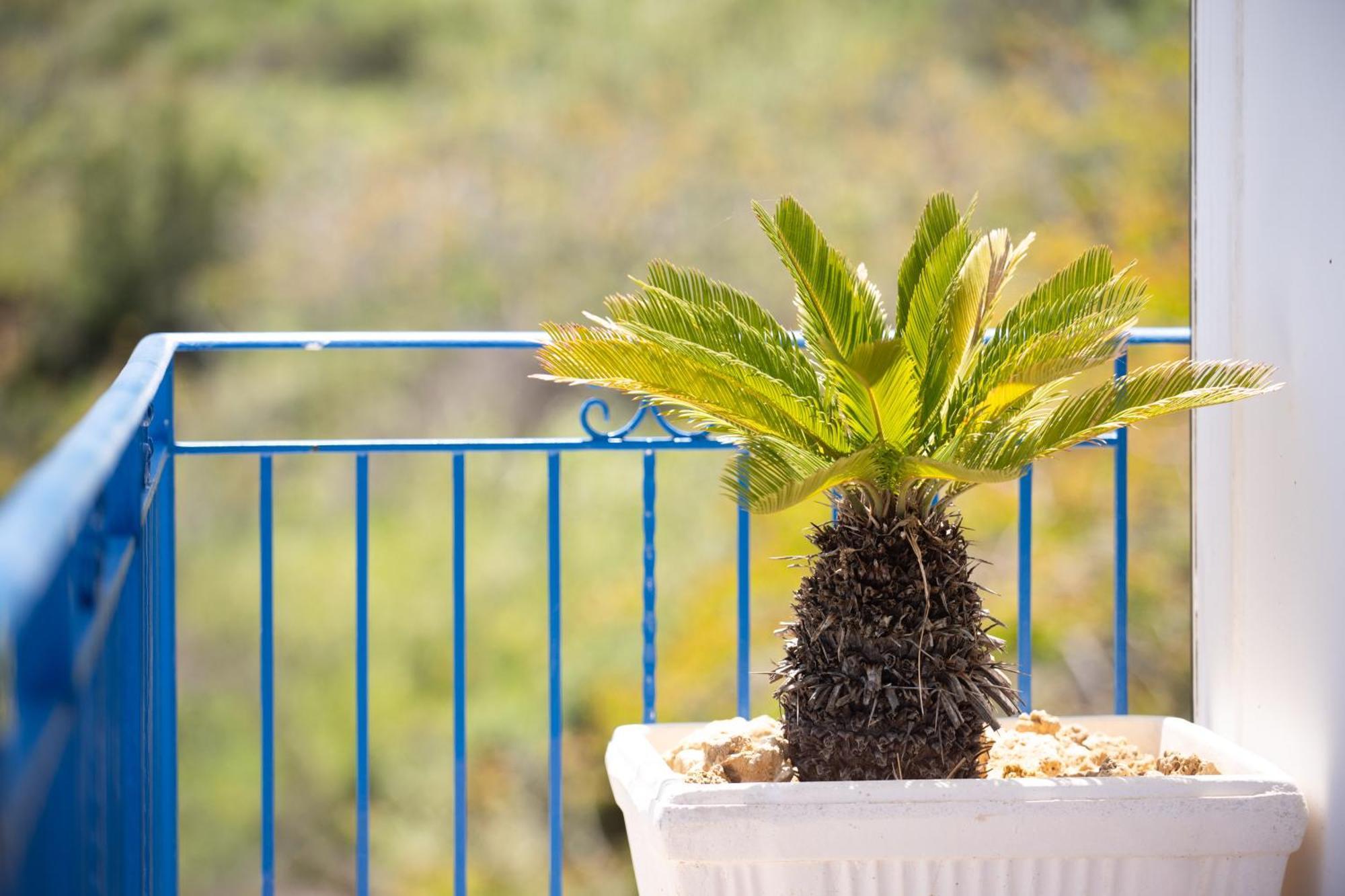 Holidaysicily Alcamo Marina Zewnętrze zdjęcie